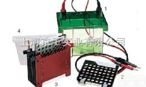 MP-3030小型转移<em>电泳槽</em>  Mini TBC小型<em>转印</em><em>电泳槽</em>