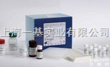 <em>56553</em>-60-7  高纯试剂三<em>乙酰氧基</em><em>硼氢化钠</em><em>56553</em>-60-7