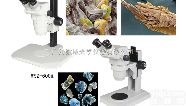WSZ-600  <em>供应珠海显微镜</em>
