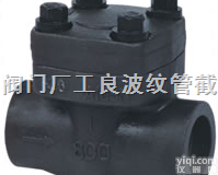 H42N  <em>天燃气立式止回阀</em>