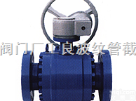 Back Pressure Valve  背压阀