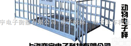 <em>动物</em><em>电子秤</em>※电子<em>动物</em>秤※100KG<em>动物</em><em>电子秤</em>