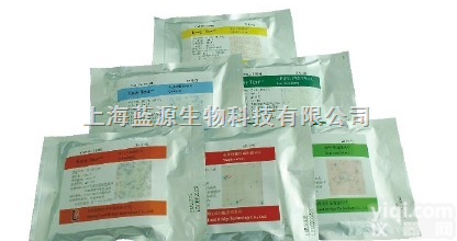 <em>两性</em><em>霉素</em>B价格  <em>两性</em><em>霉素</em>B