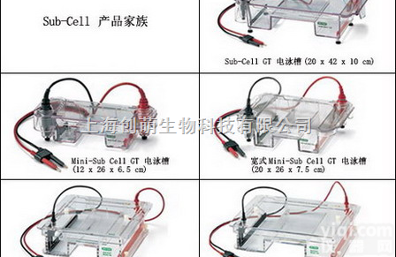 <em>美国</em>Bio-rad<em>伯乐</em>小型水平电泳槽、中型电泳槽、高通量电泳槽Mini-Sub Cell GT/宽式  <em>美国</em>Bio-rad<em>伯乐</em>小型水平电泳槽、中型电泳槽、高通量电泳槽