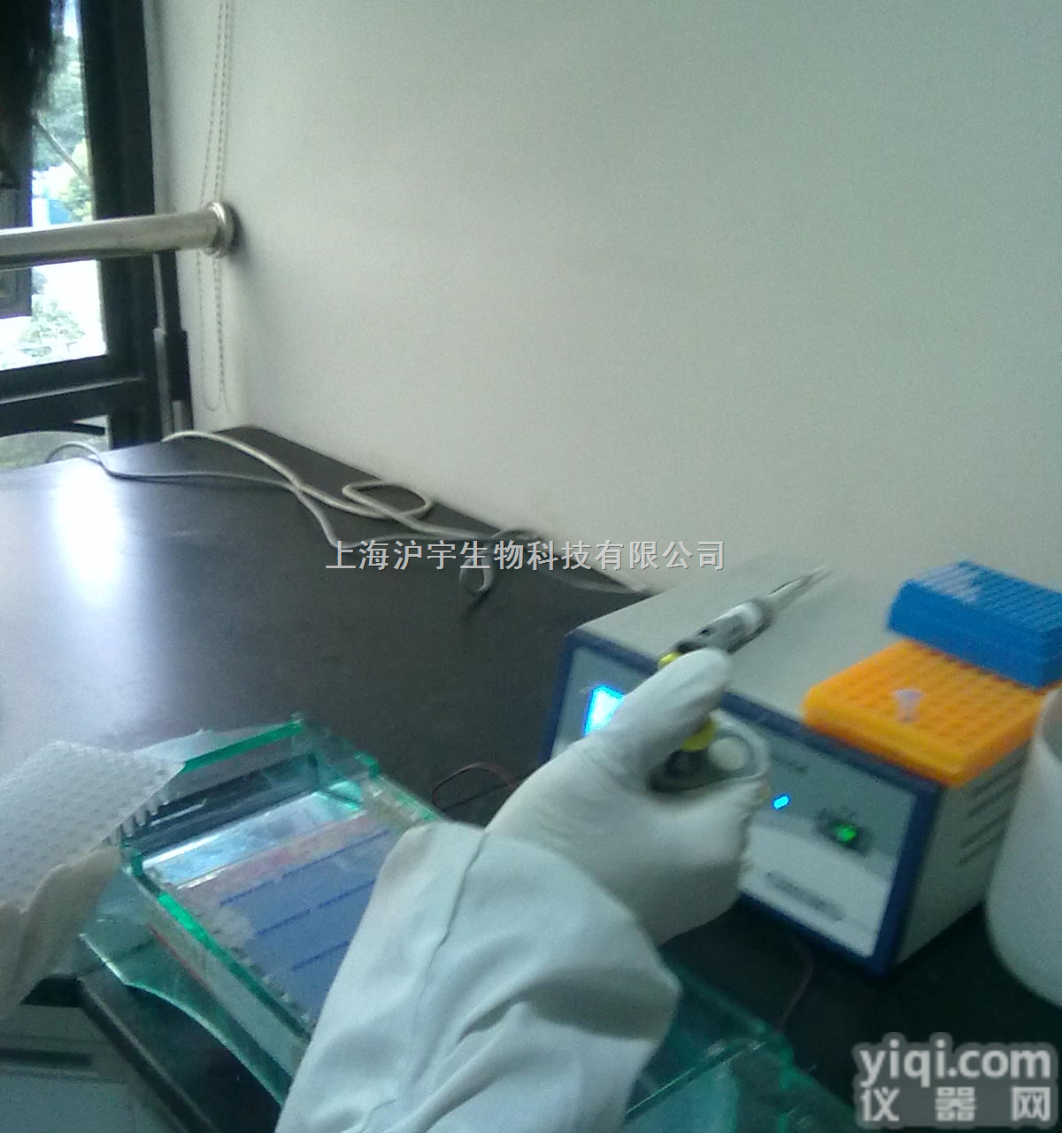 原核（大肠杆菌）系统的<em>表达</em>和<em>纯化</em>