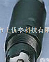 GO-300  ORP计<em>电极</em>，ORP计<em>探头</em>，在线ORP<em>探头</em>