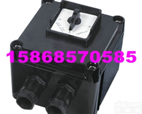 BZH63 <em>防爆</em><em>防腐</em><em>转换开关</em>|BZZ8050 <em>防爆</em><em>防腐</em><em>转换开关</em>|BZH...