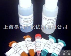 平板<em>涂布</em>专用<em>玻璃珠</em>