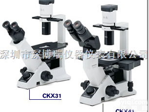 CKX31/CKX41  <em>奥林巴斯倒置显微镜CKX31</em>/CKX41