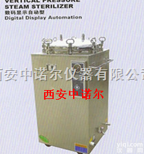 LS-B120L/150L  <em>立体式</em>压力蒸汽灭菌器  蒸汽灭菌器厂家 手提式/<em>立体式</em>压力蒸汽灭菌器参...