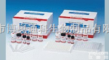 <em>磺胺类药物</em>酶联免疫反应<em>检测</em>试剂盒
