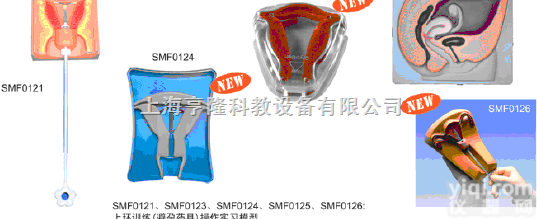 SMD06611  <em>上环</em>演示<em>模型</em>