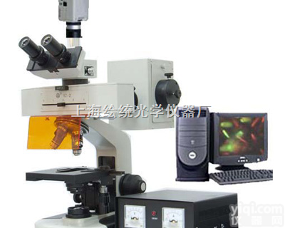 FM-7型     <em>研究型</em>荧光<em>显微镜</em>  多用于医学研究FM-7型<em>研究型</em>荧光<em>显微镜</em>