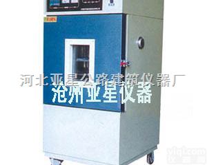 HAS-100型  <em>沧州</em><em>亚星</em>老化<em>试验箱</em>
