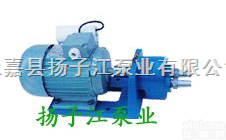 <em>油泵</em>厂家:S<em>微型</em><em>齿轮</em>输<em>油泵</em>