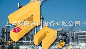 德国原装进口TURCK<em>图尔克</em>流量仪表（<em>型号</em>）