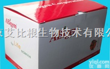 ABIzol（<em>总RNA提取</em>试剂）  ABIzol（<em>总RNA提取</em>试剂）