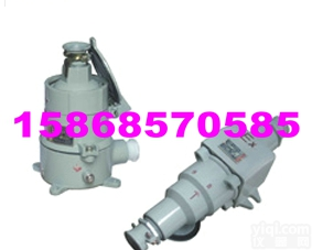 BCD-15<em>防爆</em>插销 |BCD-32 |BCD-32<em>防爆</em>插销 |BCD...