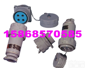 BCL51防爆<em>插接式</em>连接器（无火花型）1,32A,63A|BCL5...