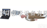 330  心肺复苏模拟人<em> 急救训练模拟人</em> 急救护理训练模拟人