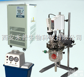 MIXTOR-2L  均质<em>乳化</em><em>夹层玻璃</em><em>反应釜</em>组合系统