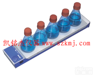RO5  GX5点磁力搅拌器 <em>中山</em>搅拌器 <em>珠海</em>搅拌器/IKA价格