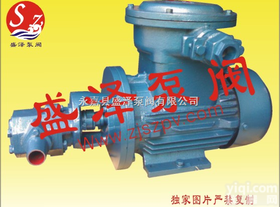 <em>盛泽</em><em>泵阀</em>WCB单相防爆<em>齿轮</em>油泵