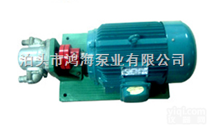 DHB  <em>点火油泵</em>,增压燃油泵,点火泵