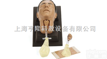 261-01001  环甲膜<em>穿刺</em>和切开<em>模型</em>