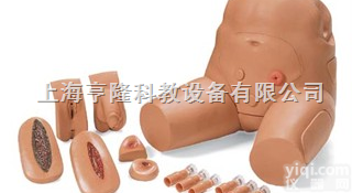 375-20001  男性骨盘 - 可<em>互换</em><em>导尿</em>与<em>灌肠</em>模型