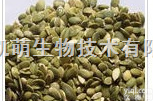 CMSW--010  <em>南瓜籽</em><em>提取物</em>Cushaw Seed P.E.