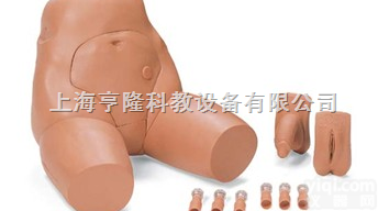 375-21001  女性骨盆-可<em>互换</em><em>导尿</em>与<em>灌肠</em>模型