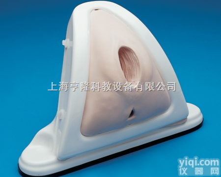 会阴<em>切开</em>术训练<em>模型</em>