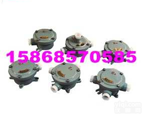 <em>BAH</em><em>防爆</em><em>接线盒</em>|<em>BAH</em>-G3/4 <em>防爆</em><em>接线盒</em>|<em>BAH</em>-G1