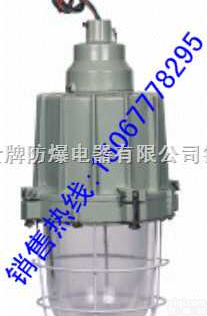 <em>BAD62</em>  （<em>BAD62</em>）<em>隔爆型</em><em>防爆灯</em>（ⅡB、ⅡC）