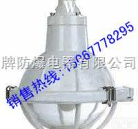 <em>BAD</em><em>52</em>-e  （<em>BAD</em><em>52</em>-e） 增安型防爆灯（工程塑料）（e）