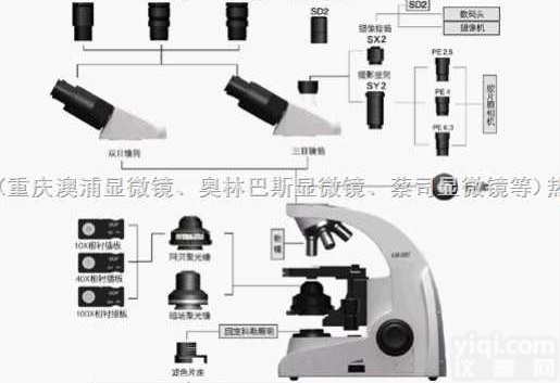 <em>生物</em><em>显微镜</em>！倒置<em>生物</em><em>显微镜</em>！普通<em>光学</em><em>显微镜</em>！普通<em>显微镜</em>价格！唐山<em>显微镜</em>...