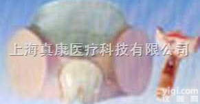 SMF0122  <em>避孕药</em>具操作实习教学模型