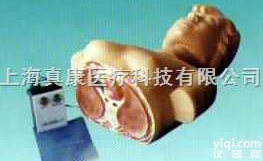 NT-1  触电<em>急救</em><em>救援</em><em>模型</em>｜新型人体半身心肺复苏<em>模型</em>（女）