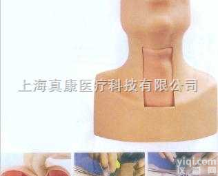 GD/J58  <em>气管</em>切开<em>插管</em>训练<em>模型</em>|高级<em>气管</em>切开<em>插管</em>训练<em>模型</em>