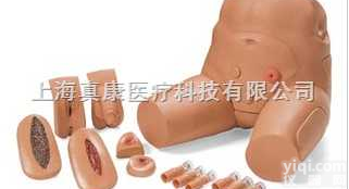 375-20001  男性骨盘 - 可<em>互换</em><em>导尿</em>与<em>灌肠</em>模型