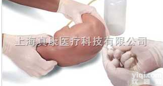 375-34001  婴儿<em>腰部</em><em>穿刺</em><em>模型</em>