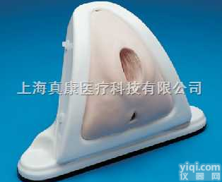 会阴<em>切开</em>术训练<em>模型</em>