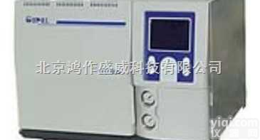 <em>SP</em>-<em>2100</em>A  <em>气相色谱仪</em> <em>SP</em>-<em>2100</em>A