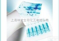 <em>IPVH00010</em>  <em>Immobilon</em>-P<em>转印</em>膜