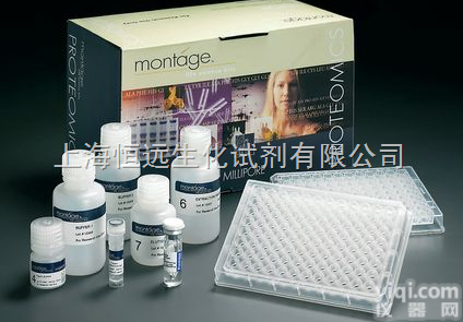 上海人D2R<em>试剂盒</em>96Ｔ/48Ｔ  <em>人多</em>巴胺D2受体<em>试剂盒</em>