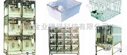 KK007  动物<em>笼具</em>|小鼠独立<em>通风</em>IVC