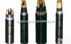 F46<em>耐油</em><em>耐高温</em><em>控制电缆</em>