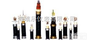 <em>本安型电子计算机用信号电缆</em>（ia—DJYVP）