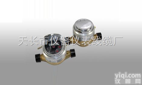 <em>LS系列旋转活塞式流量计</em>